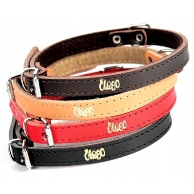 DINGO obroża skórzana 2,5x65cm czarna