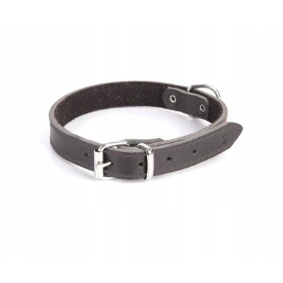 DINGO obroża skórzana 2,5x65cm czarna