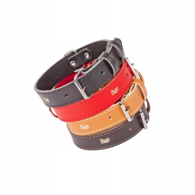 DINGO obroża skórzana 2,5x65cm czarna