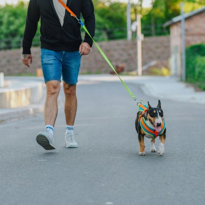 DINGO smycz Activ sydney 2,5x220cm ziel/nieb/pomar