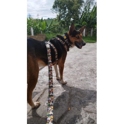 DINGO smycz przyczepiana CHIPAS 2,0X220CM