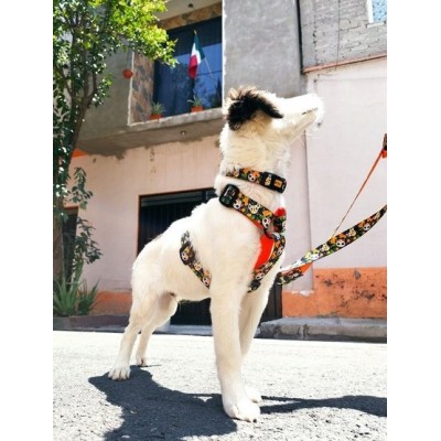 DINGO smycz przyczepiana CHIPAS 2,0X220CM