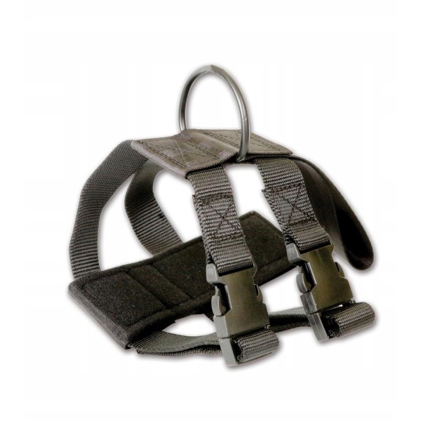 DINGO szelki bezpieczeństwa do samochodu dla psa #M