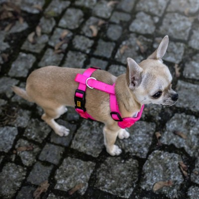 DINGO Szelki bezuciskowe z dwupaskową regulacją #L różowe