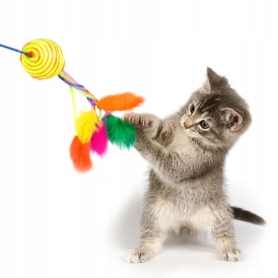 DINGO wędka dla kota spike pomarańczowa