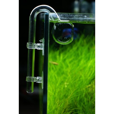 Przyssawka mała do akwarium 12mm/4szt ZOLUX