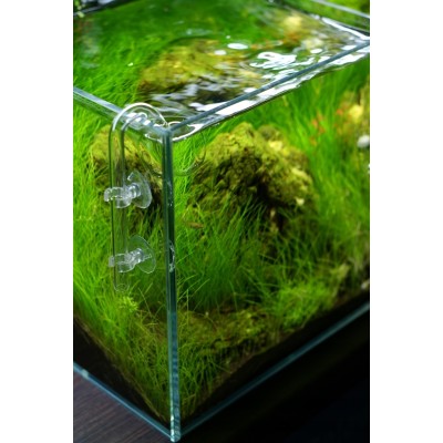 Przyssawka mała do akwarium 12mm/4szt ZOLUX