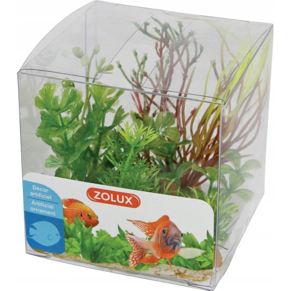 Ozdoba do akwarium rośliny mix  ZOLUX