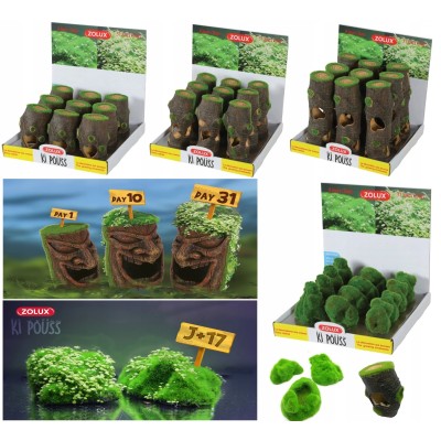 Ozdoba do akwarium pień KIPOUSS M z nasionami ZOLUX