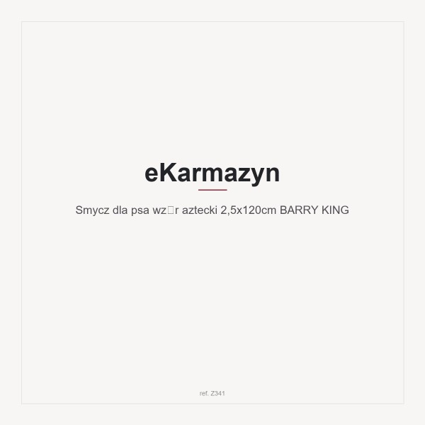 Smycz dla psa wzór aztecki 2,5x120cm BARRY KING