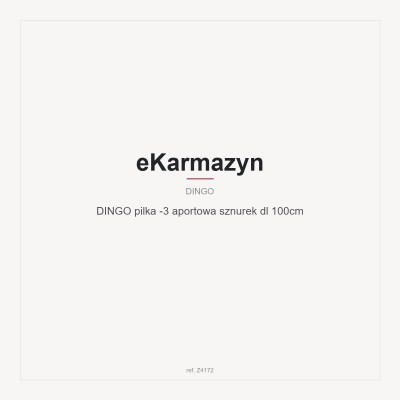 DINGO pilka -3 aportowa sznurek dl 100cm