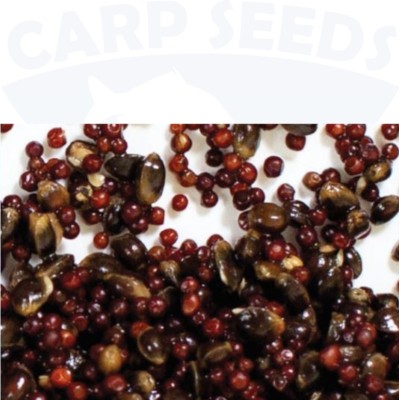 Miks R Rzepik/Konopie 2kg CarpSeeds