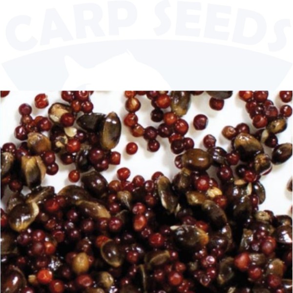 Miks R Rzepik/Konopie 2kg CarpSeeds