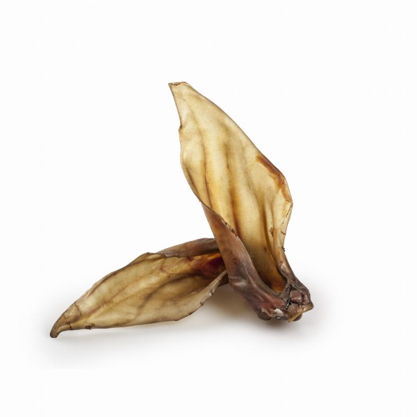 MATIHAU Ucho jelenia biale