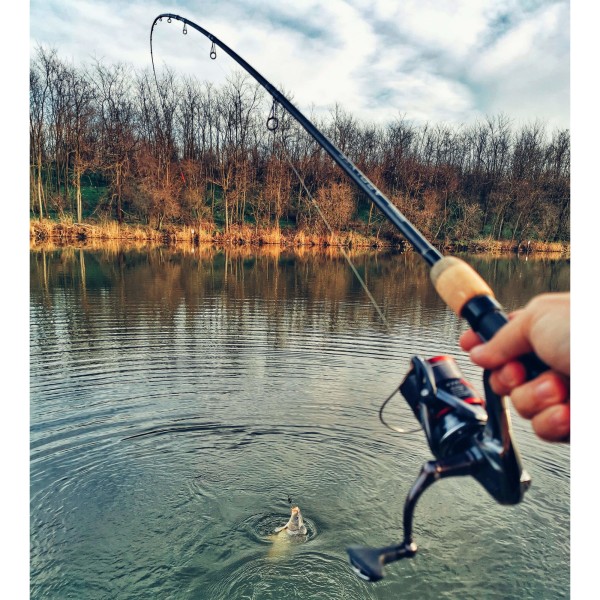 Nash Brute Micro Barbed 2/10szt