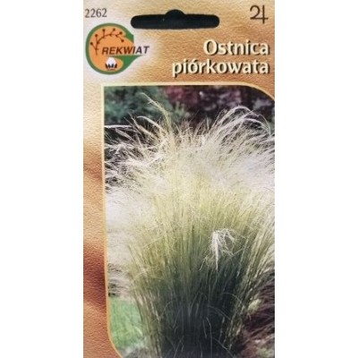 Delphin Wkrętka Twisto ScrewLock/10szt r.L