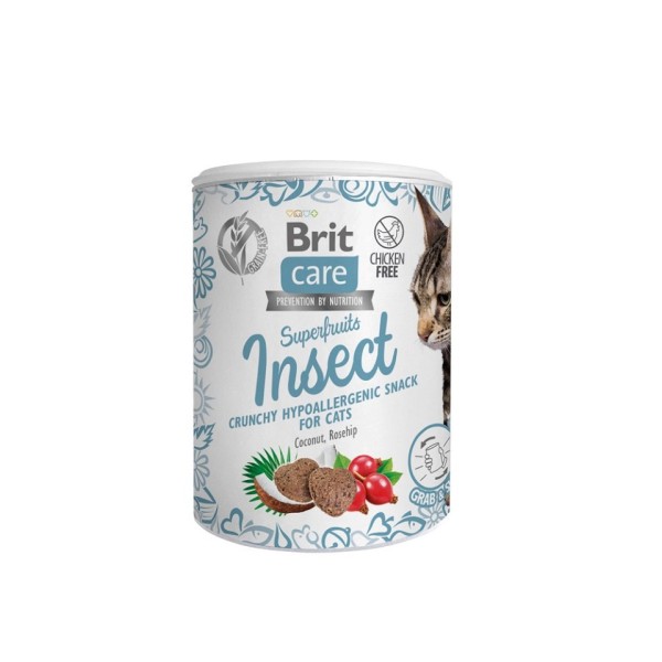 Snack superfruits insect 100g BRIT CARE