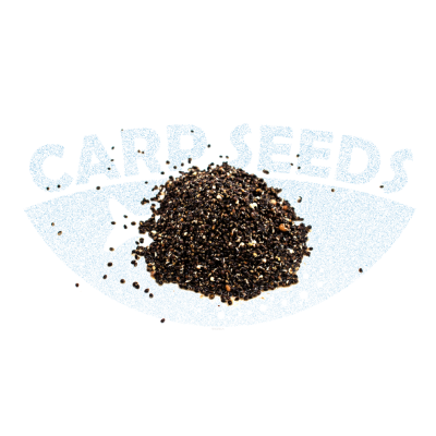 Konopie Zanętowe 1kg CarpSeeds