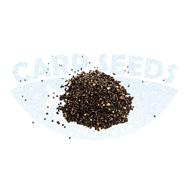 Konopie Zanętowe 1kg CarpSeeds