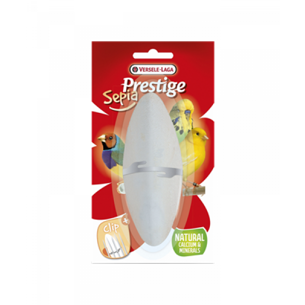 Sepia mineralna mała VERSELELAGA