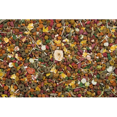 Cavia Nature original 750g dla kawii domowej VERSELELAGA