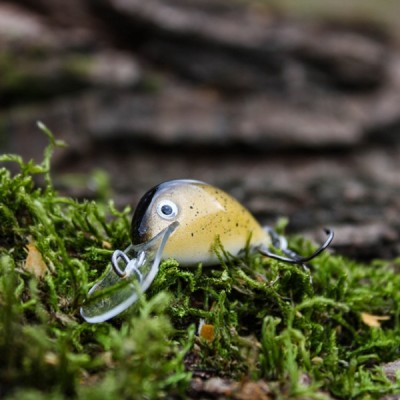 Engima Wobler Cheerfish 3 SDR Złoty Tonący