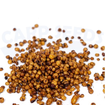 Orzechy Tygrysie Gotowe XL 12-15mm 2kg CarpSeeds