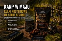 Karp w maju 2026 – kulki proteinowe na start sezonu