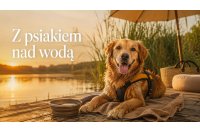 Lato z psem nad wodą – bezpieczeństwo i komfort | Sklep Zoologiczny