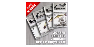 Spinwal