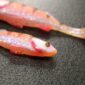 Westin Original Perch 9cm/8g Orange Perch - obrazek 2