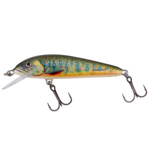 Salmo Wobler M5F Lake Charr 6cm - obrazek 1