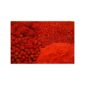 Dynamite Baits Pellet Robin Red 8mm/900g - obrazek 2