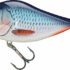 Salmo Wobler SD10S Bleeding Blue Shad 10cm - obrazek 1