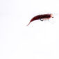 Oczoś Robal Jig Diesel 1,5g/4cm - obrazek 3