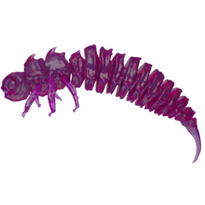 Qubi Lures BigFatBug 5cm/5szt PURPLE JELLY - obrazek 1