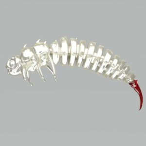 Qubi Lures BigFatBug 11cm/4szt Pure Pearl - obrazek 1