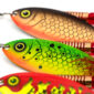 Fox Rage Spinner UV Hot Perch 6/26g - obrazek 2