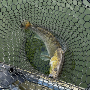 Spro Podbierak Flick Net Solid 60 50x45x60cm - obrazek 4