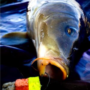 LK Baits CUC Compot NHDC 40g - obrazek 2