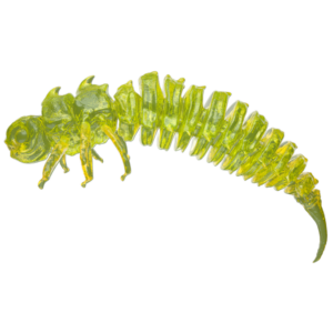 Qubi Lures BigFatBug 5cm/5szt RADIOACTIVE - obrazek 1