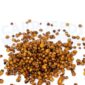 Orzechy Tygrysie Mix Gotowe 2kg CarpSeeds - obrazek 1