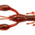 Gunki Raczek Hurra Craw Brown Oil Red 5cm - obrazek 1