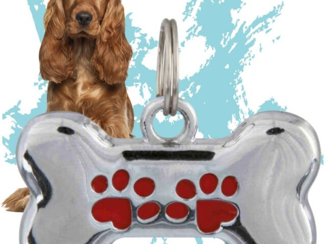 ecff40a832d1bb880486f57d3a612c9e