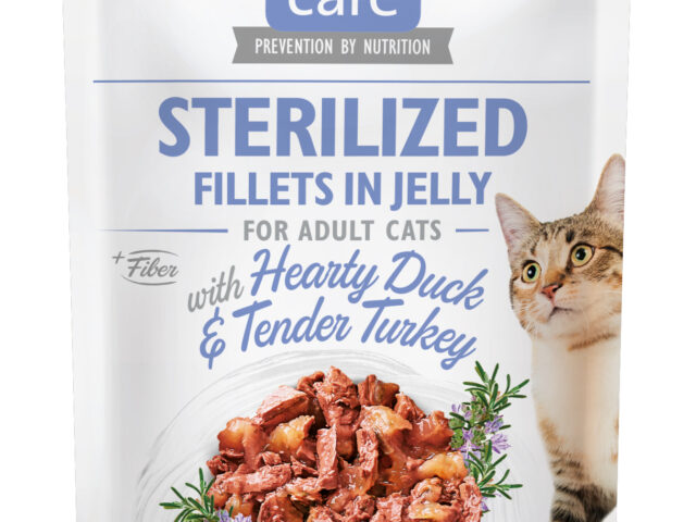 287794a1eb552f72d3b3f3da46ad2063