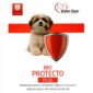 Obroża bio protecto plus szczeniak OVER ZOO - obrazek 1