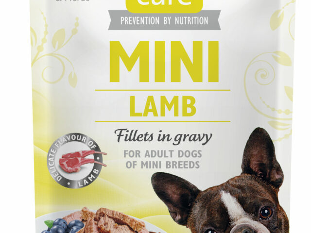 f6ed5ccce8ccf156b360936c46687b42