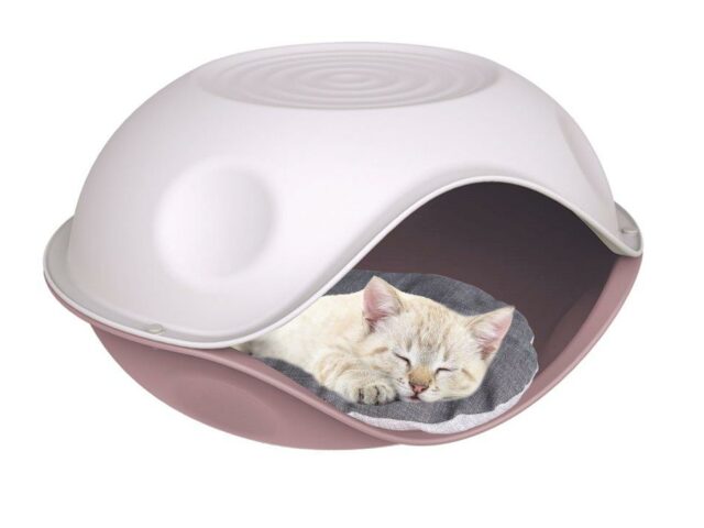 49879d6b9213a5e367879b2a770bf74a