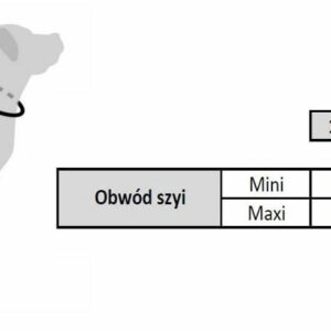 Obroża dla psa regulowana MOOV 20mm szara ZOLUX - obrazek 3