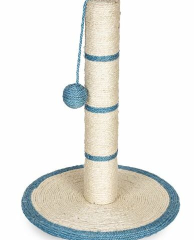 bbf7a2f3a1cb862ba39143069383023b